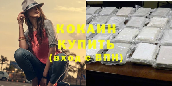 твердый Кулебаки