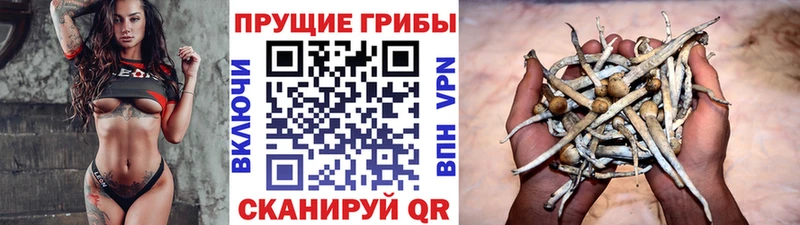 Псилоцибиновые грибы Magic Shrooms  где можно купить наркотик  Железногорск 