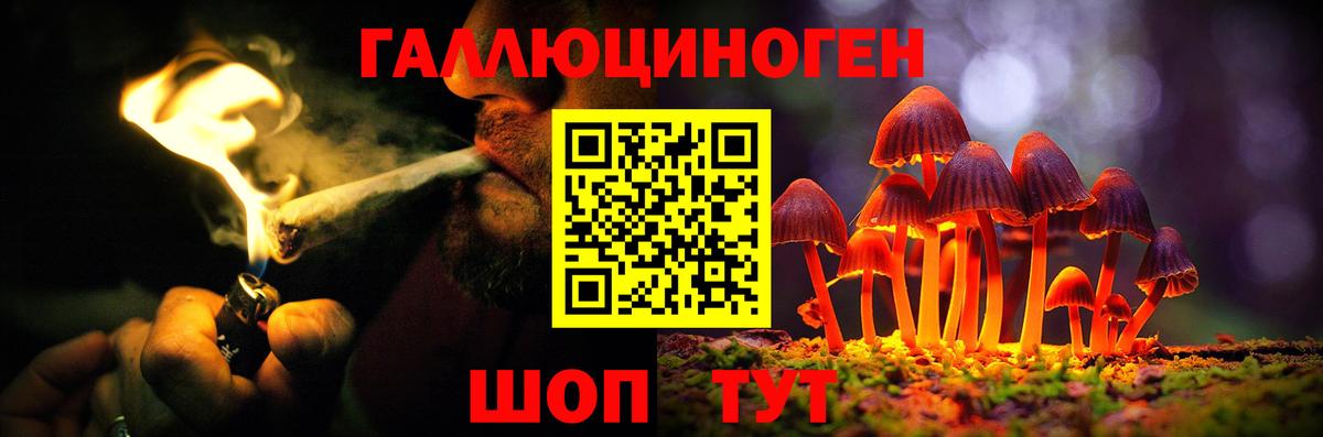 что такое   Вход с VPN  Железногорск  Псилоцибиновые грибы MAGIC MUSHROOMS  Псилоцибиновые грибы Cubensis 